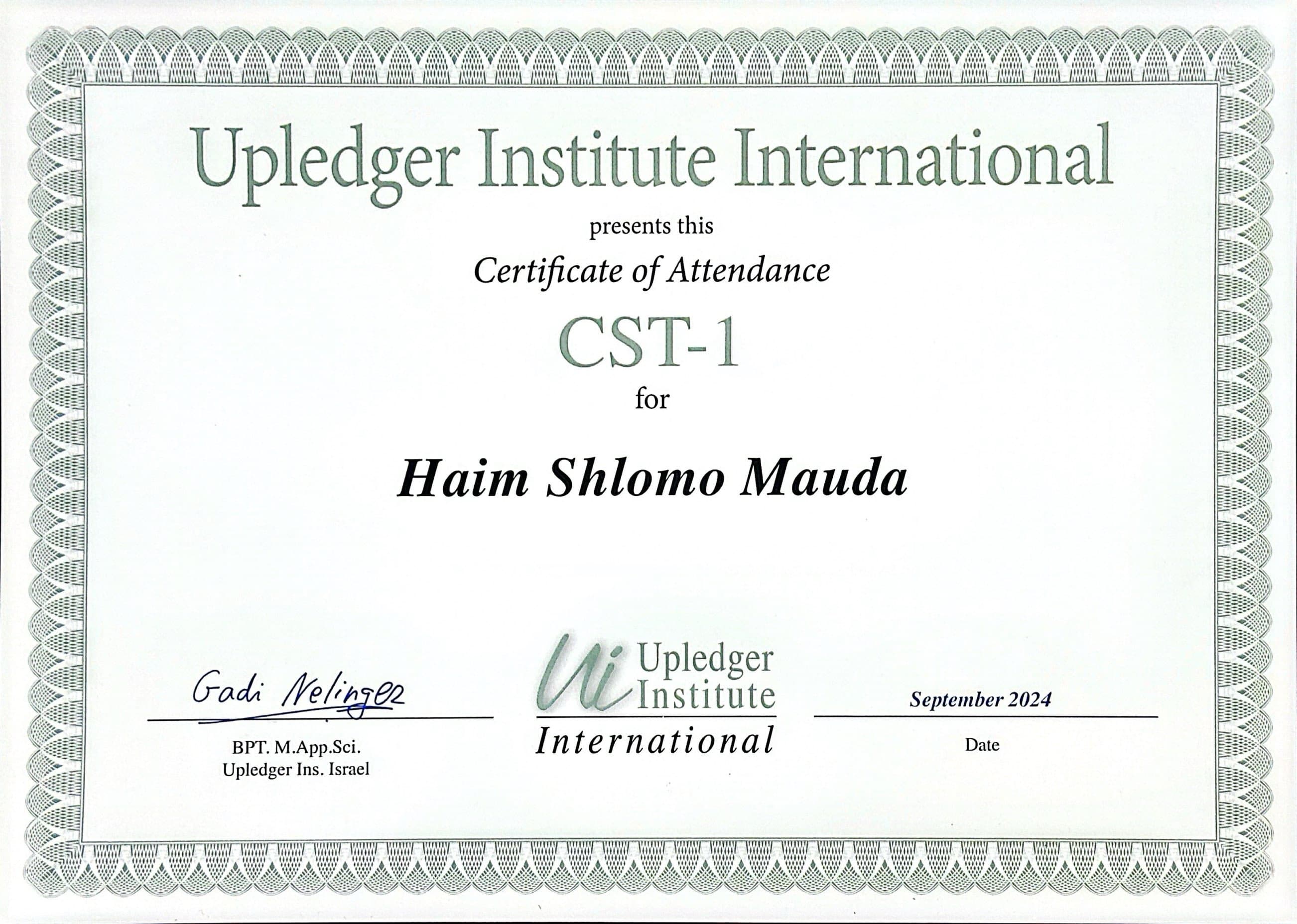 Advanced Therapy Certificate